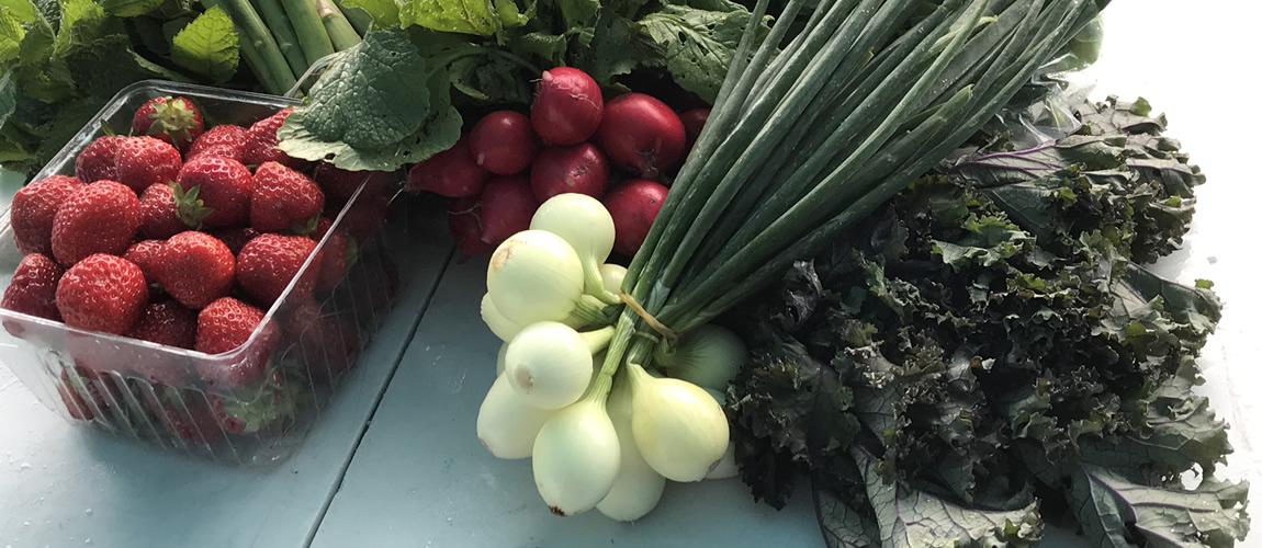 Fresh, locally grown vegetables